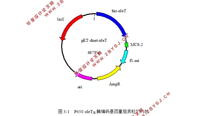 P450 oleTJE߻֬ϳα-ϩо